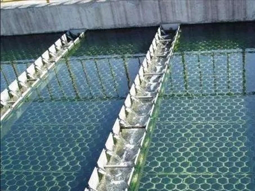 1650943137322970.jpg 微信图片_20220419143531.jpg